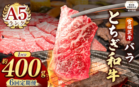 【栃木県共通返礼品 栃木県産】【定期便6回】宮福笑牛(とちぎ和牛) A5 バラ焼き肉 約400g  | 栃木県 下野市