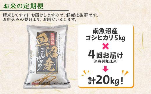 【令和7年産新米】【定期便】新潟県 南魚沼産 コシヒカリ お米 5kg ×計4回 精米済み 毎月発送（お米の美味しい炊き方ガイド付き）【2025年10月中旬より順次発送予定】