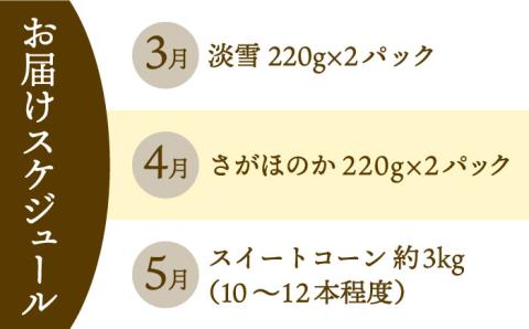 【先行予約】【全3回定期便】紅白いちご（淡雪・さがほのか）とスイートコーン / イチゴ [IZZ016]