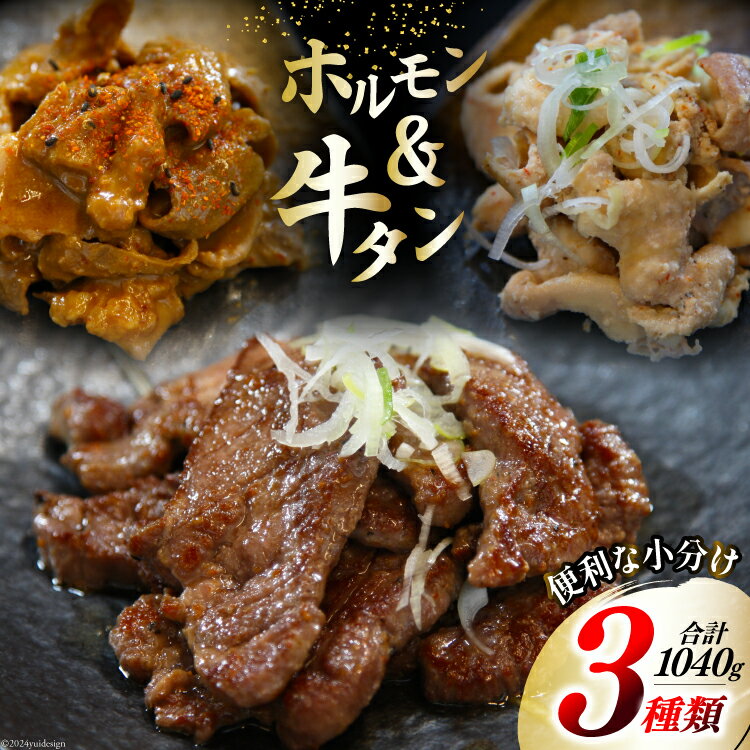 【ふるさと納税】肉 志津川ホルモン 辛味噌・塩 各200g×2・牛タン 厚切り 塩味 120g×2 計1.04kg [佐利 宮城県 南三陸町 30ag0008] 精肉 牛肉 豚肉 牛 豚 牛たん タン塩 厚切り ホルモン 辛みそ 塩 味付き 焼肉 焼き肉 BBQ 小分け 冷凍