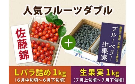 《先行予約 2025年度発送》山形人気フルーツダブル（さくらんぼ佐藤錦1kg &ブルーベリー生果実1kg） FSY-0149