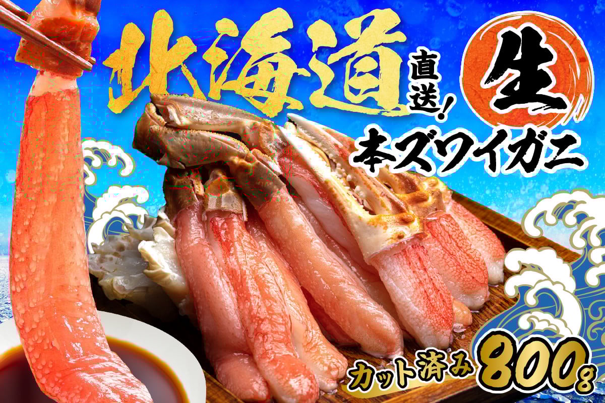 北見市加工 特大生冷本ズワイガニセット（800g・昆布入）