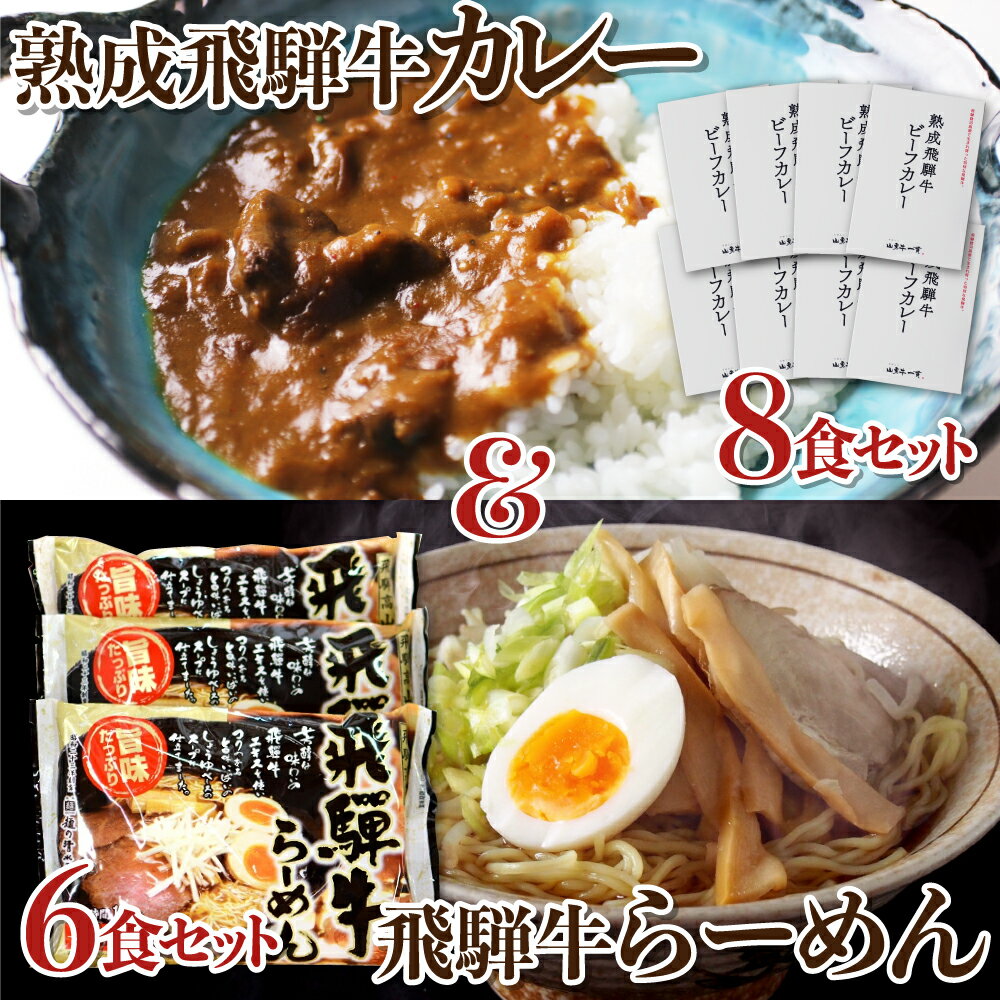 【ふるさと納税】熟成ビーフカレー8食＆飛騨牛ラーメン6食セット 肉 熨斗掛け