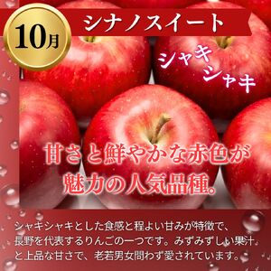 りんご 志賀高原 定期便 3ヶ月 りんご