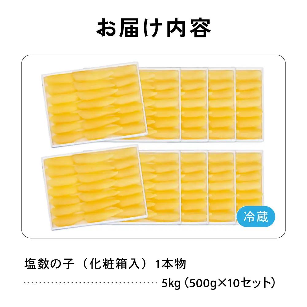塩数の子（化粧箱入）1本物 500g×10セット (計5kg)  かずのこ カズノコ