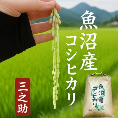 ふるさと納税 魚沼市 令和7年産　三之助　魚沼産コシヒカリ(精米)　10kg