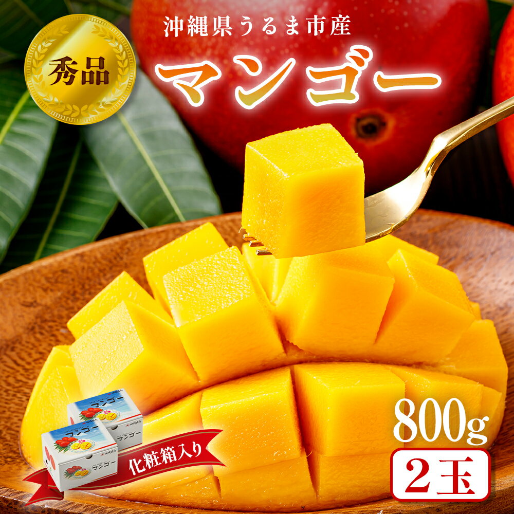 【ふるさと納税】沖縄県 うるま市産 完熟 マンゴー 秀品 800g【2025年発送】マンゴー 沖縄 秀品 ギフト 1箱1玉 400g×2箱 完熟マンゴー アップルマンゴー フルーツ 果物 産地直送 プレゼント 贈り物 国産 お取り寄せ 財宝