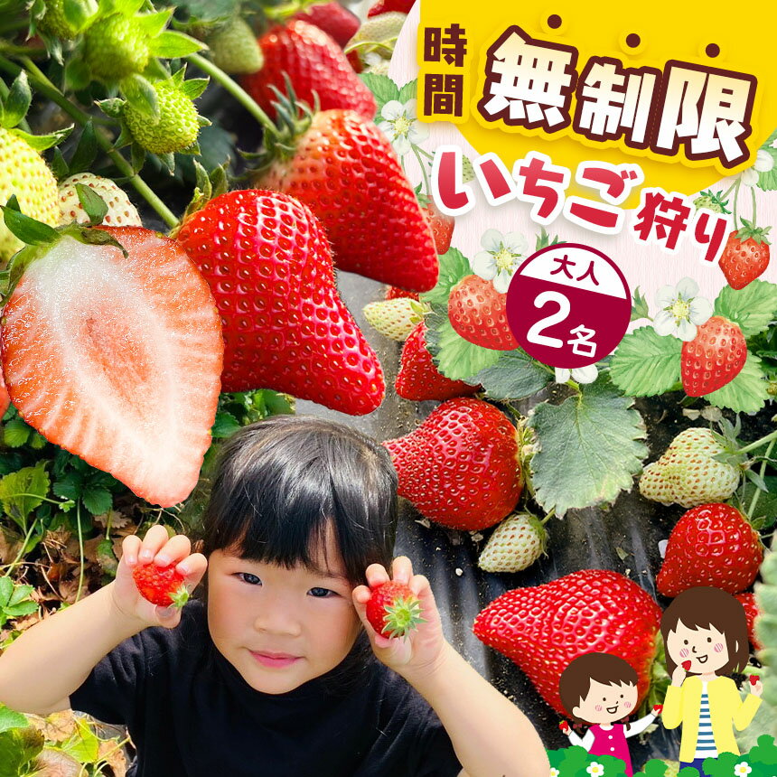【ふるさと納税】「いちご狩り体験チケット」入園券大人2名｜いちご 苺 ストロベリー レジャー 観光 デート お出かけ 体験 時間無制限 食べ放題 とちおとめ とちひめ 甘い 冬 おいしい 真岡 栃木県 送料無料
