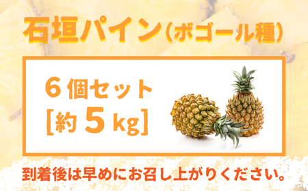 【先行受付】石垣パイン 6個セット ボゴール種【2026年5月初旬～6月初旬発送予定】MI-005