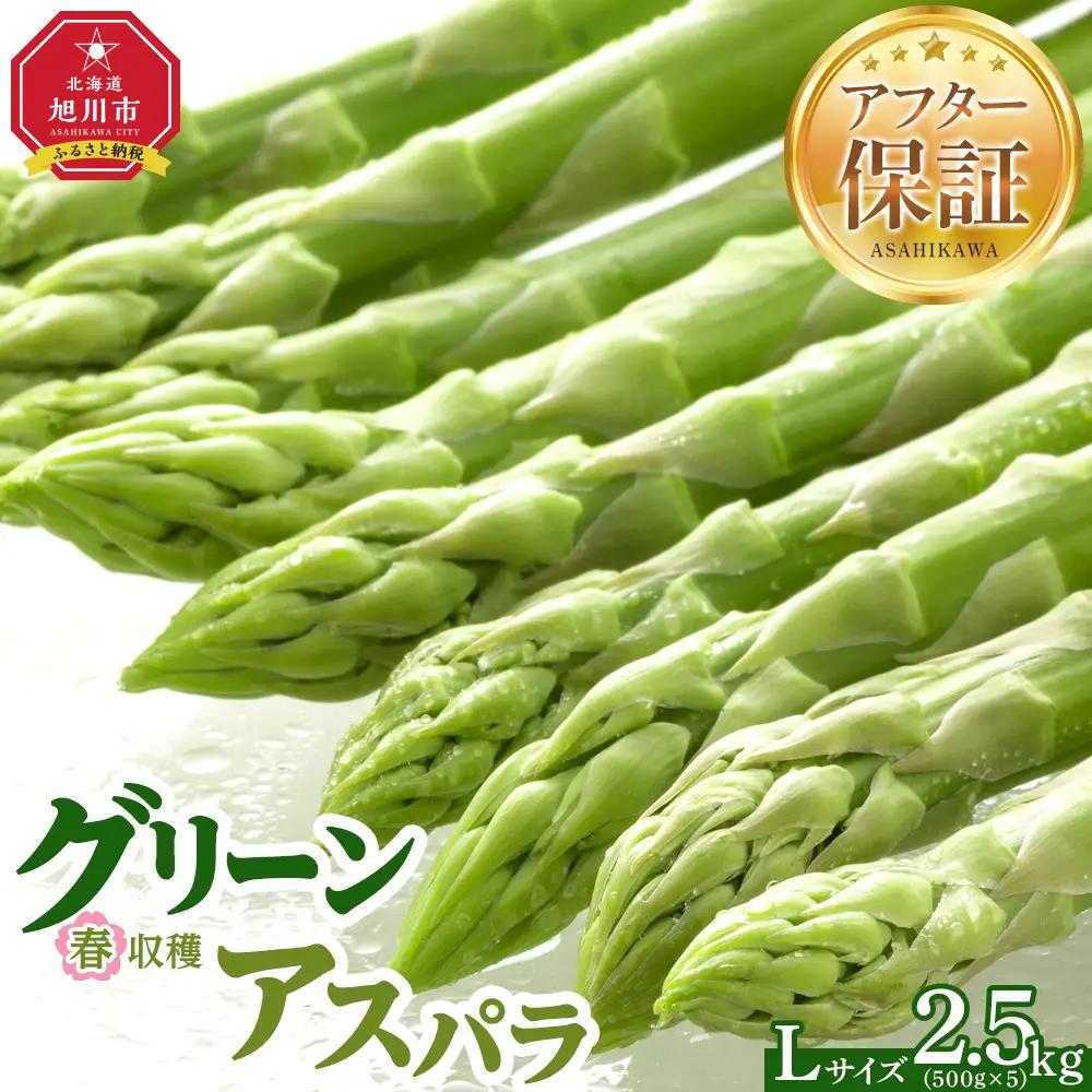 春収穫グリーンアスパラLサイズ（500g×5）約2.5kg（2027年6月上旬から発送開始）| アスパラ 北海道_05532