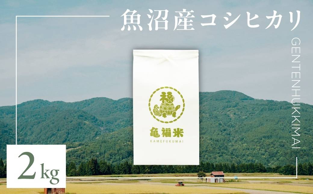 令和7年産 魚沼産コシヒカリ「亀福 原点復帰米」2kg(特別栽培米) 新潟県 津南町 株式会社亀福 155399-004