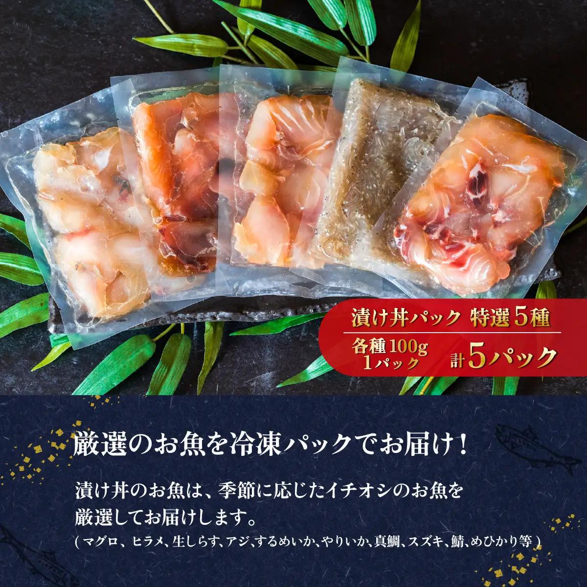 海鮮丼 5種 計5P マグロ 海鮮丼