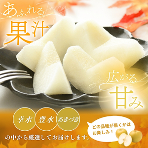 【先行予約】旬の梨(幸水ー豊水ーあきづき) 極上秀品(中玉~大玉)6~8個入り 2025年8月下旬~2025年9月下旬頃に順次発送予定(お届け日指定不可)/ 和歌山 梨 フルーツ 果物 くだもの【kg