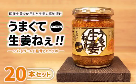 ＼レビュー投稿でお米プレゼント／うまくて生姜ねぇ!!ゴールデン20本セット 【しょうが 国産 醤油漬け しいたけ ごはんのお供 お弁当 調味料 おつまみ 肴 薬味 隠し味 猪苗代町 福島県】[№577