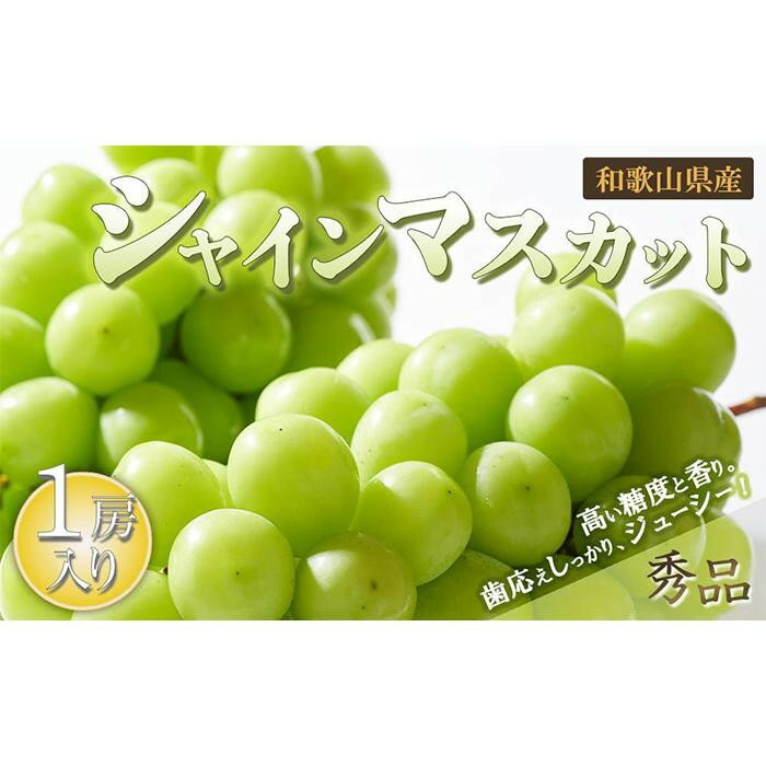 【ふるさと納税】【選べる容量】シャインマスカット 1房～4房［2026年8月中旬以降出荷］［MG24］ | フルーツ 果物 くだもの 食品 人気 おすすめ 送料無料