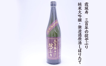 【期間限定】やまがたの新酒・無濾過原酒『純米大吟醸と純米吟醸』三百年の掟やぶり飲みくらべ2 (720ml×2本セット) FZ23-448