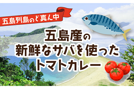【全12回定期便】漁師のカレー(サバのトマトカレー)5個セット 常温 魚介 イタリアン風 サバ 鯖 五島市/奈留町漁業 [PAT018]