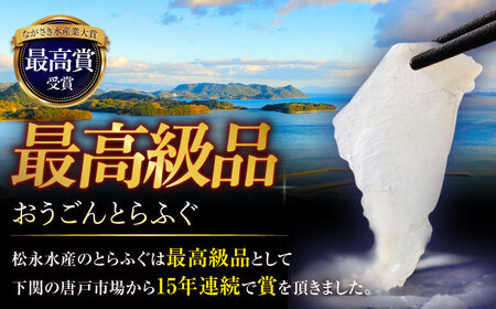 【全6回定期便】【着日指定 可能】活〆おうごんとらふぐ 刺身 セット（3人前） 平戸市 / 松永水産[KAB277]