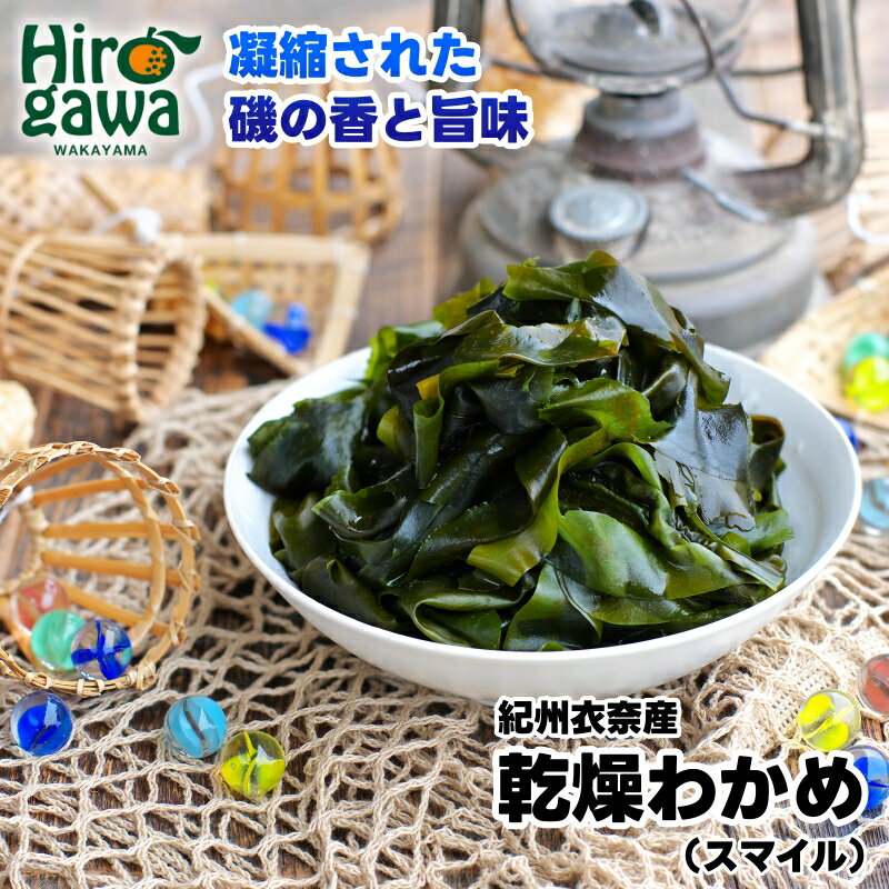 【ふるさと納税】 乾燥 わかめ 紀州衣奈産 2025年産 ※2月下旬より順次発送 / 海藻 天然養殖 //fish