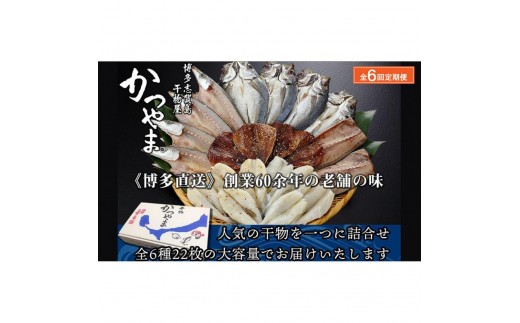 
                  【全6回定期便】昔ながらの製法で作った干物詰合せ 全6種22枚×6回 | 魚 お魚 さかな 食品 人気 おすすめ 送料無料
                