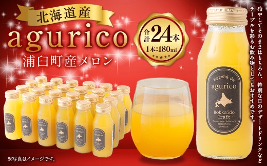 agurico 浦臼町産 メロン 180ml×24本