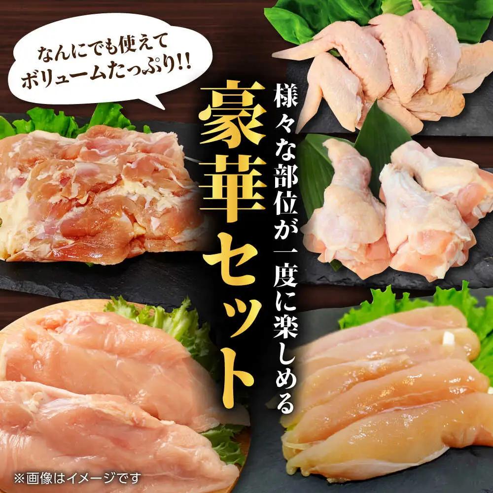 熊本あか鶏  5種食べ比べセット（モモ ささみ ムネ 手羽先 手羽元）各2kg 計10kg【やまうちフード株式会社 熊本営業所】 熊本県 特産品 赤鶏 九州産  [ZAB005]