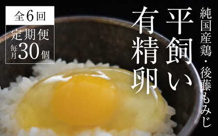 【全6回定期便】平飼い有精卵 30個《西粟倉村》【株式会社点々】t-SS-CnDA