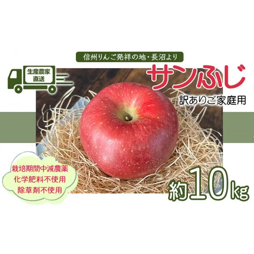 生産農家直送 人にやさしい 長沼りんご・サンふじ10kg（訳ありご家庭用） | りんご フルーツ