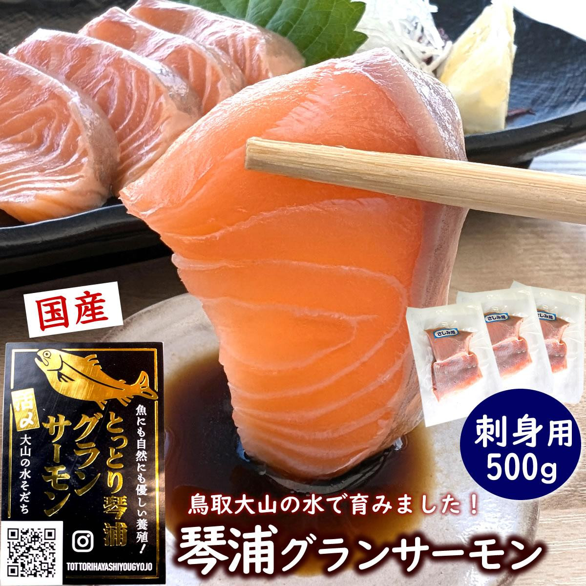 
            サーモン 琴浦 グランサーモン 500g ( 3-5パック ) 刺身用 小分け 生食 国産 陸上養殖 刺身 刺し身 さしみ 冷凍 鮭 サケ 魚 さかな 海鮮 魚介類 鳥取 人気 おすすめ 真空 個包装
          