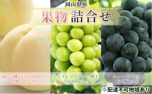[№5615-0710]ぶどう 2025年 先行予約 果物 詰合せ 岡山 白桃 2玉 等級：ロイヤル（1玉220g以上） シャインマスカット 晴王 1房 380g以上 ニューピオーネ 1房 380g以上 もも 葡萄 岡山県産 国産 フルーツ 果物 ギフト
