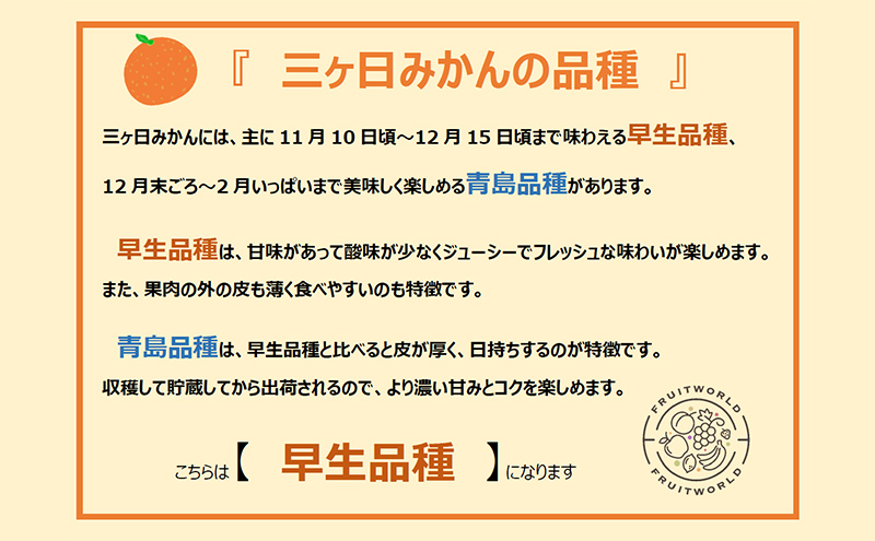 【2025年11月中旬より順次発送】 三ヶ日みかん 早生 3kg M～L 早生みかん みかん 蜜柑 ミカン 果物 くだもの 旬のフルーツ 旬の果物 季節のフルーツ 季節の果物 柑橘 柑橘類 静岡 静岡