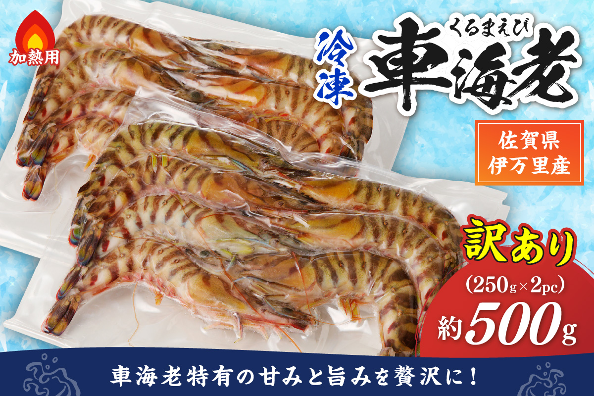 伊万里産 冷凍車海老（訳あり、加熱用、250gx2pc） 010-C198