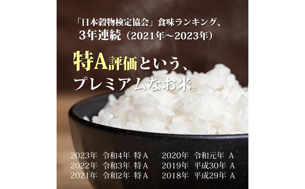 福岡県産 【特A】評価のお米「元気つくし」5kg×2袋（10kg）