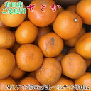 【ふるさと納税】【限定】 一度は食べていただきたい 有田産のせとか 【訳あり 家庭用】 4kg～5kg (サイズおまかせ)※2L以上は約4kg