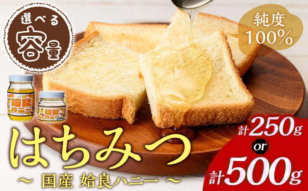 
            a1002 《期間限定！2025年4月下旬～10月中旬の間に発送予定》選べる容量！姶良ハニー(250g・500g)【原電設工業】姶良市 国産 ハチミツ はちみつ 蜂蜜 百花蜜 蜜 常温 常温保存
          