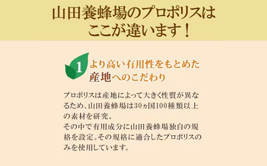 【毎月定期便】プロポリス粒 (486)全12回【4008980】