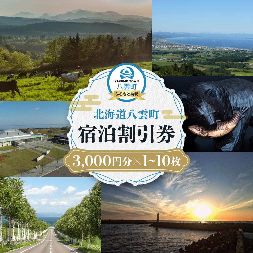 【ふるさと納税】【枚数選択可能】北海道八雲町　宿泊割引券3,000円分 1枚～10枚【 宿泊券 割引券 旅行 ホテル ホテルチケット 観光 宿泊 ご当地 八雲町 北海道 】