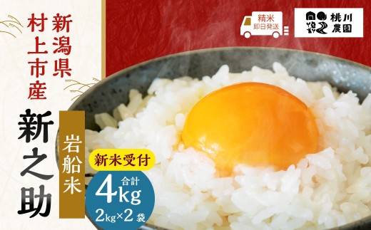  【精米即日発送】【令和8年産米】新潟県村上市産 特別栽培米 新之助 4kg（2kg×2袋）1040009