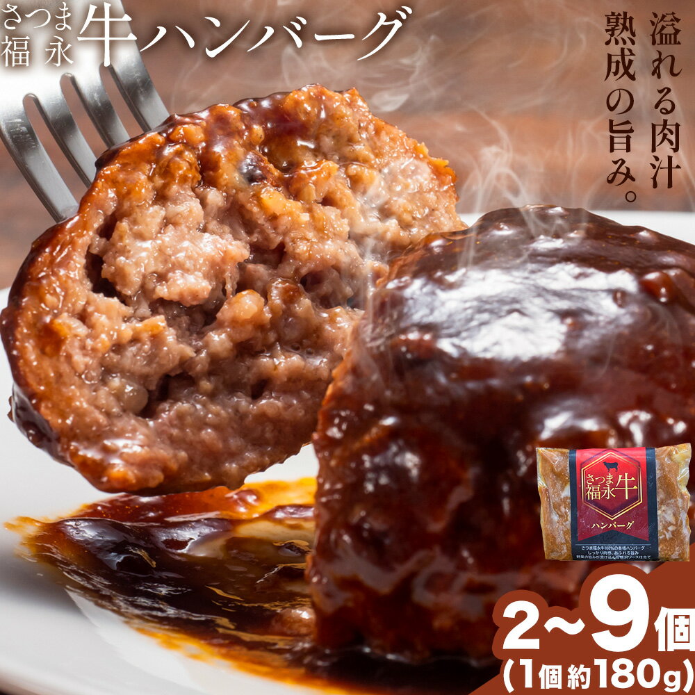 【ふるさと納税】さつま福永牛 ハンバーグ 選べる 個数 2個 ～ 9個 福永畜産《30日以内に出荷予定(土日祝除く)》 鹿児島県 さつま町 和牛 福永牛 牛 牛肉 ハンバーグ