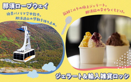 那須町グルメ＆レジャー共通券「那須ぐるチケ」3,000円分（1,000円券×3枚）〔B-137〕｜ 栃木県 那須 商品券 クーポン券 割引券 食事券 日帰り 旅行 観光 サファリパーク 動物園 遊園地
