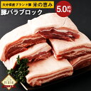 【ふるさと納税】大分県産ブランド豚 奥豊後豚（米の恵み）バラ肉 ブロック 5.0kg 2.5kg×2 肉 豚 豚肉 国産 角煮 チャーシュー 豚バラ ブロック肉 かたまり 塊 かたまり肉 BBQ キャンプ 冷凍 大分県 竹田市 送料無料