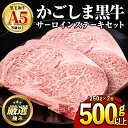 【ふるさと納税】鹿児島県産黒毛和牛！A5等級サーロインステーキ(計500g・約250g×2枚)国産 牛肉 肉 冷凍 サーロイン 鹿児島 ステーキ 焼肉 BBQ バーベキュー【前田畜産たかしや】【30963】