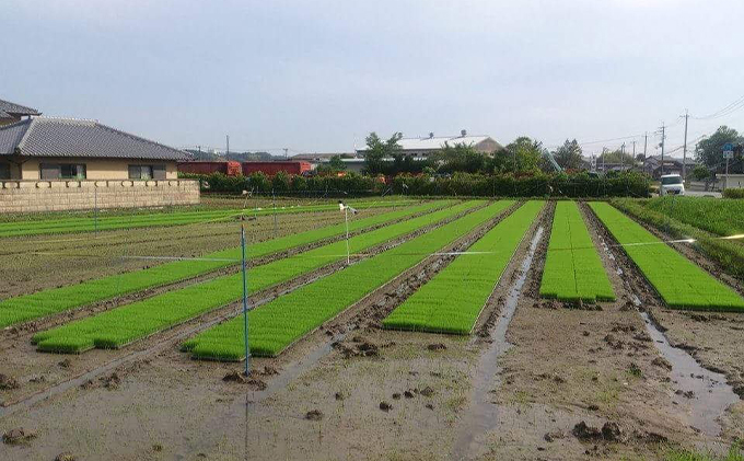 《令和5年産 特別栽培米》日本酒に合うヒノヒカリ 無洗米約26.5kg