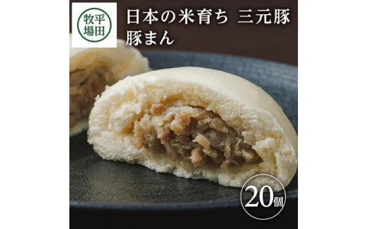 三元豚 豚まん 20個 計2kg ブランド豚 銘柄豚 豚肉  三元豚 肉まん にくまん お米 米 豚 まんじゅう 中華まん おやつ 冷凍 簡単調理 ギフト 贈り物 贈答 ブランド おすすめ 庄内 平田牧場 山形 酒田 SC0501