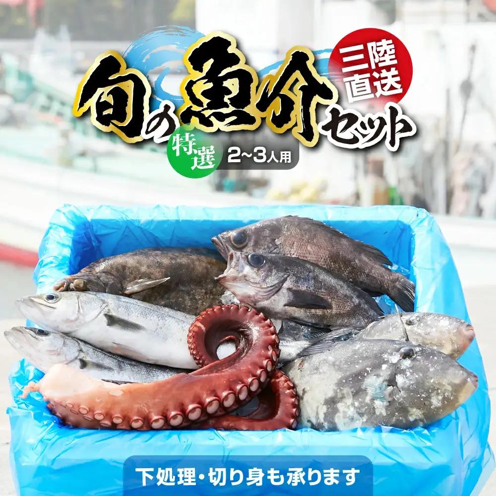 鮮魚セット(2～3人用) 下処理済み 朝獲れ直送 三陸 旬 冷蔵 刺身 海藻 貝 鮮魚 お魚