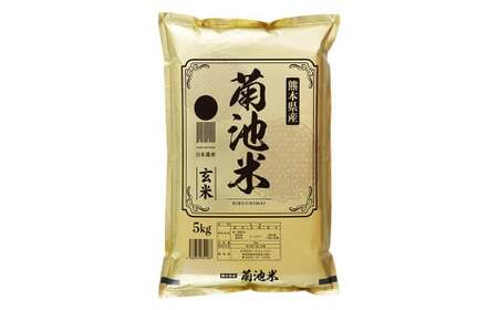 【定期便12ヵ月】熊本県菊池産 ヒノヒカリ 玄米 計120kg（5kg×2袋×12回）米 お米 残留農薬ゼロ 低温貯蔵