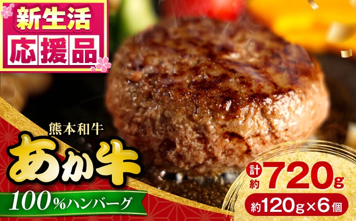 
                  熊本 和牛 あか牛 100％ ハンバーグ 約120g×6個【有限会社 三協畜産】あか牛 牛肉 和牛 ハンバーグ 小分け 熊本 特産品 [AYCQ001]
                