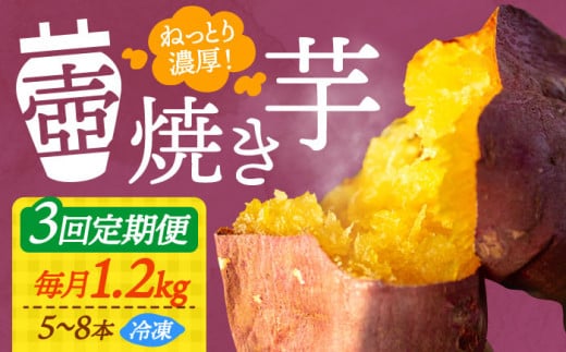 【全3回定期便】ねっとり濃厚！てくてくの壺焼き芋 1.2kg さつまいも 芋 スイーツ お菓子 ギフト 広島 江田島市/峰商事 合同会社[XAD048]