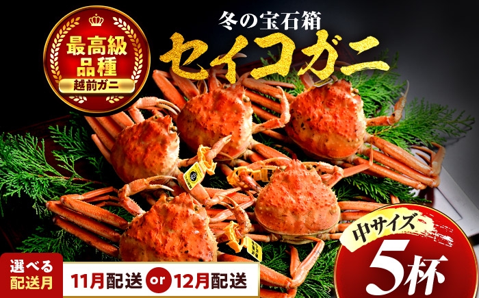 
            【先行予約】 【希望月指定可】  セイコガニ（ズワイガニのメス）中サイズ 5杯 / 越前ガニ コッペガニ せいこ蟹 ボイル 小浜市 / まるほ商店 【配送不可地域：北海道・沖縄・離島】[BFCS015]
          