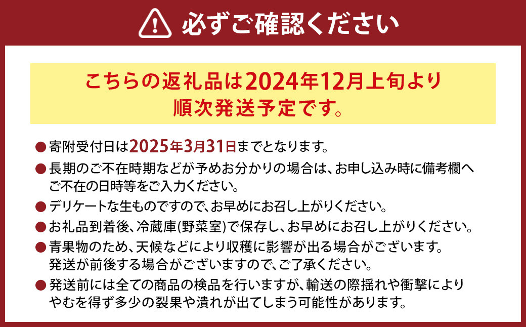 にべさんちの苺 熊本県産イチゴかおり野 約520g